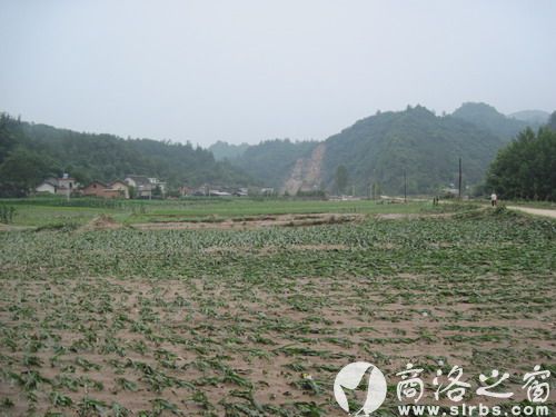 農(nóng)作物受災(zāi)920公頃，其中：絕收210公頃，水毀河堤72公里、耕地210公頃，灌渠24公里，自來水管線180公里。圖為趙
