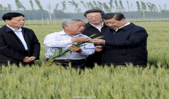 學(xué)習(xí)進(jìn)行時(shí)丨是貢獻(xiàn)，也是奉獻(xiàn)——習(xí)近平總書(shū)記和河南的故事
