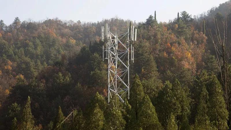 1密林深處，豎立起格外醒目的移動(dòng)4G基站.jpg