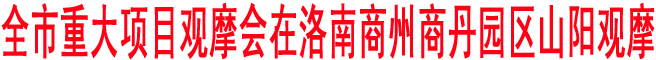 商洛市重大項目觀摩會在洛南商州商丹園區(qū)山陽觀摩