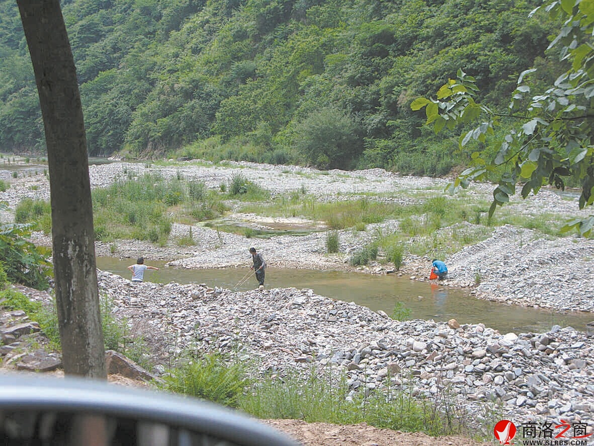6月2日，柞水杏坪鎮(zhèn)金口村不到十里的河道電魚的就有四伙人