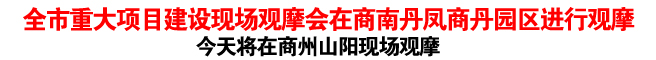 全市重大項目建設(shè)現(xiàn)場觀摩會在商南丹鳳商丹園區(qū)進行觀摩