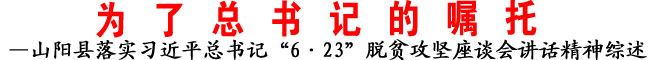 —山陽縣落實習(xí)近平總書記“6·23”脫貧攻堅座談會講話精神綜述