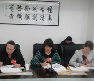 文化、衛(wèi)生界委員認(rèn)真記錄委員討論內(nèi)容