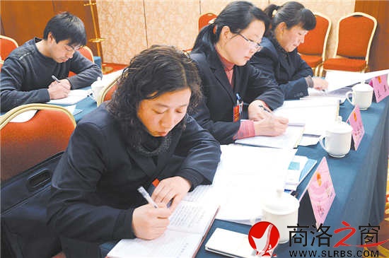 柞水團(tuán)代表正在認(rèn)真撰寫建議。 （記者 李敏 費(fèi)翔 攝）