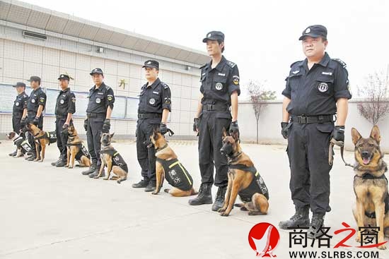 訓(xùn)犬員和他們的“戰(zhàn)友”隨時(shí)準(zhǔn)備出警