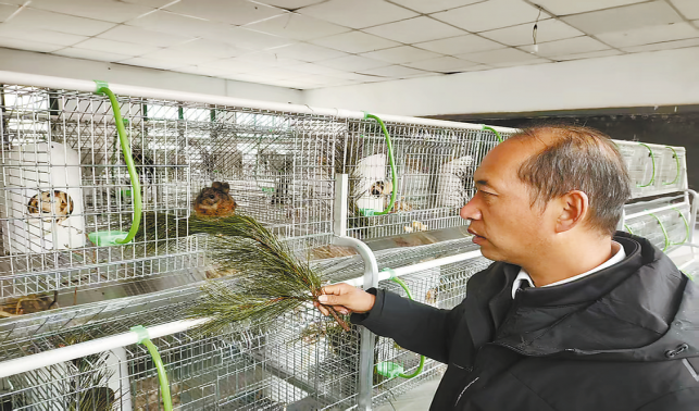 蔡川鎮(zhèn):鼯鼠成為“致富寶”