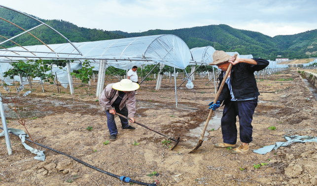 圖片新聞