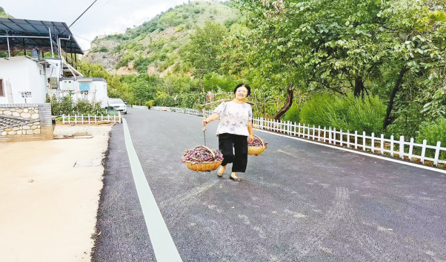 一條柏油路，串起果農(nóng)新生活