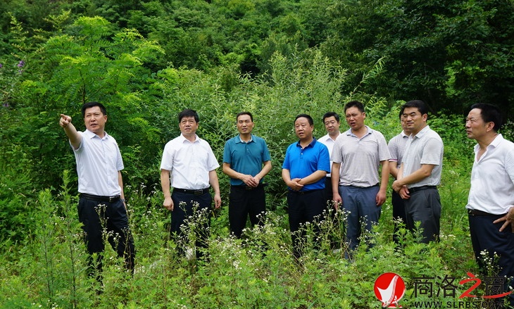 現(xiàn)場協(xié)調(diào)鎢鉬產(chǎn)業(yè)園搬遷點(diǎn)用地問題.jpg