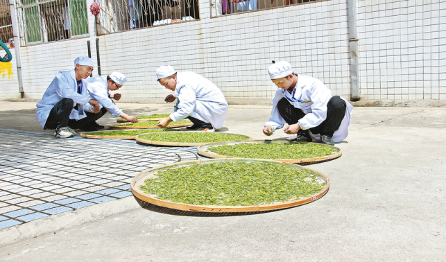 技藝傳千載 茶香飄萬(wàn)家