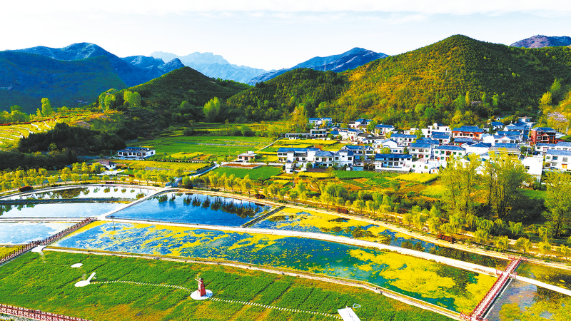 農(nóng)文旅融合，“融”出好光景