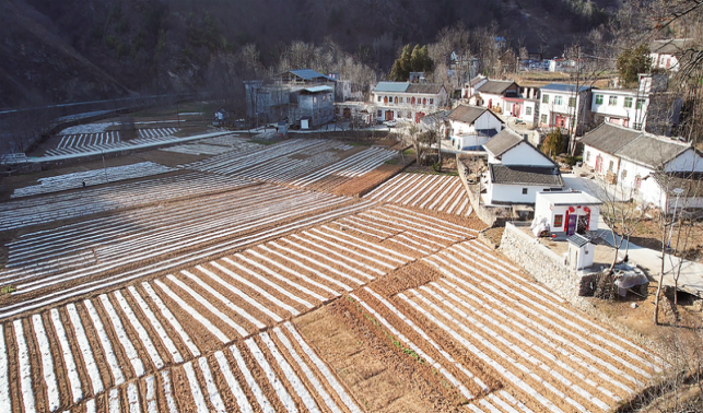 沃野繪新景 鄉(xiāng)村展新顏