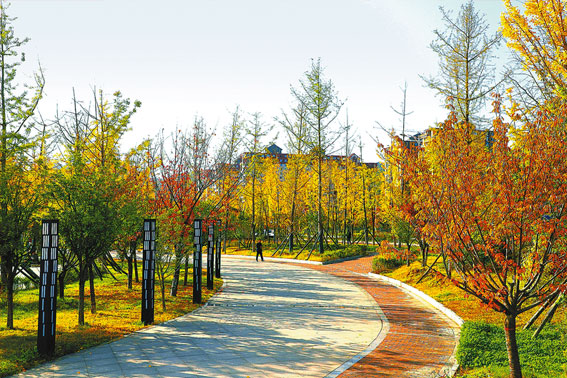 從只有一個(gè)公園到公園“遍地開花”