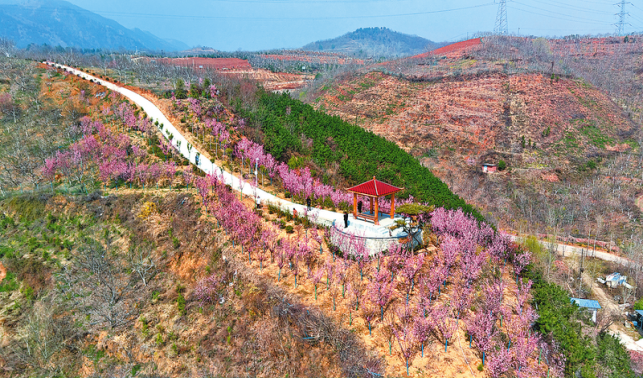 五龍山 荒山變美景 致富在家門(mén)
