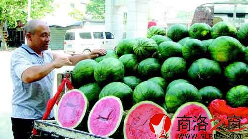 謝小榮把一車的西瓜整理好，準(zhǔn)備開(kāi)業(yè)。