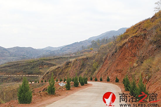 已經(jīng)完成普修的王山底至?xí)?，兩旁栽植了青翠的松柏行道樹? width=