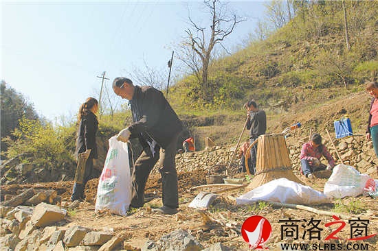 正是種豬苓的時(shí)候,田地里隨處可見(jiàn)種植的農(nóng)戶。