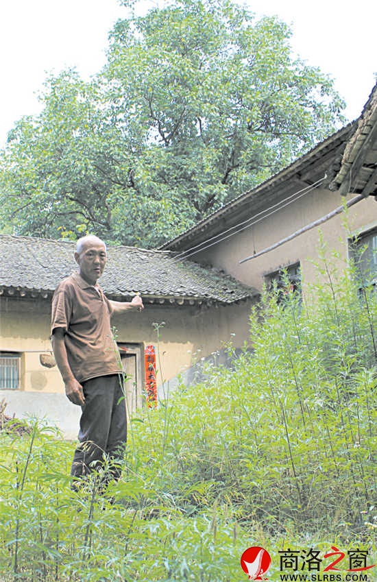 在村里，十有八九的農(nóng)家院落已長滿了蒿草。留守在村里的人路過這些院落，會不由自主地想起院落主人。