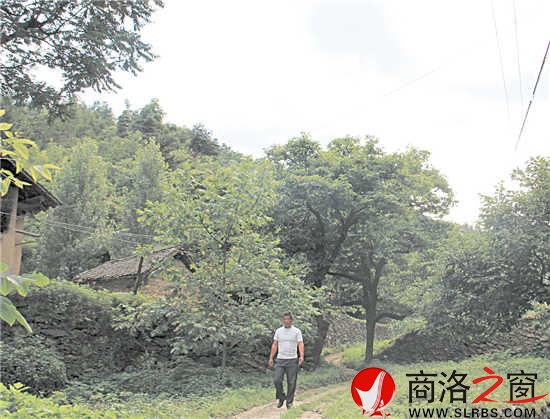 家鄉(xiāng)的這條路楊安平已走了多年，但他每次經(jīng)過這里，都有一種深深的眷戀。