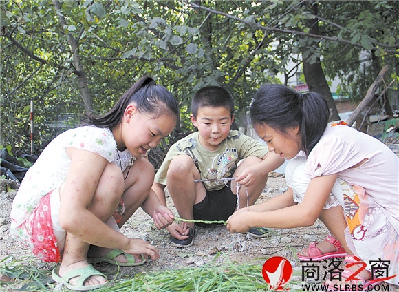 黃沙嶺腳下，胡昊和小伙伴們正在給一只小鳥用草編籠子。