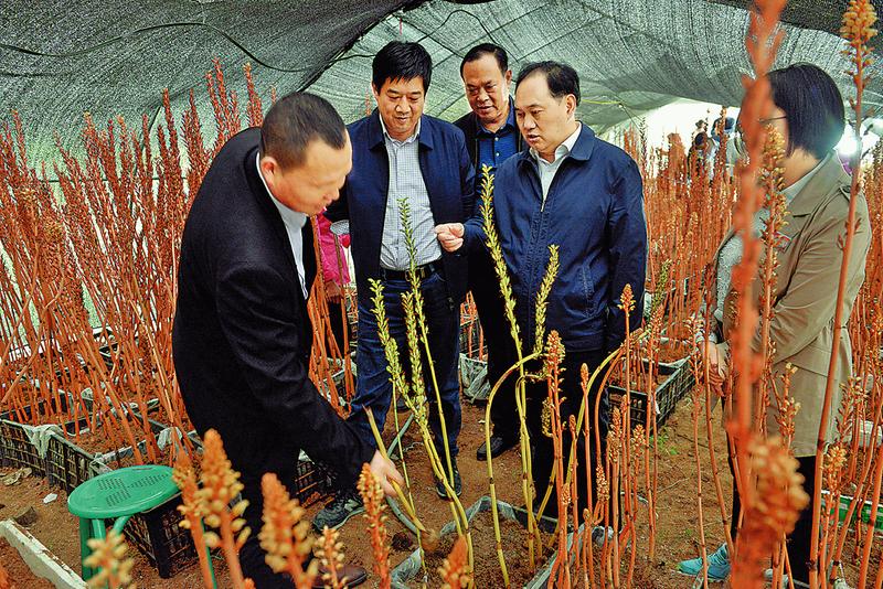 找到產(chǎn)業(yè)發(fā)展金鑰匙 打開深度貧困重枷鎖