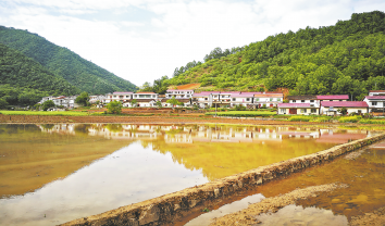 西川村 一個(gè)稻花飄香的地方