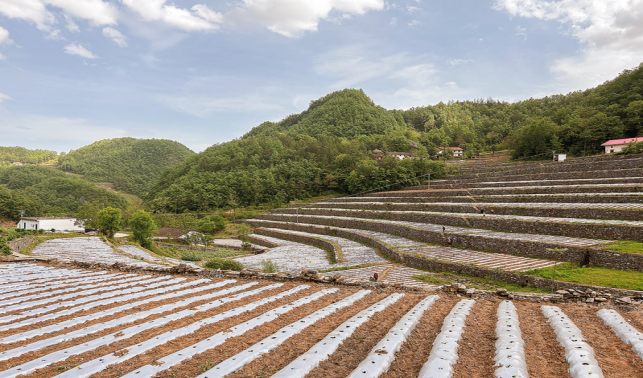 用好“千萬工程”經(jīng)驗(yàn) 繪就和美鄉(xiāng)村新畫卷