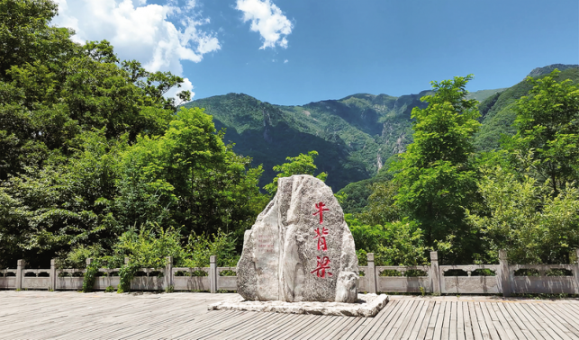牛背梁：讓“生態(tài)顏值”成為“振興產(chǎn)值”
